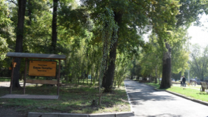 Акимат Алматы продолжает развитие общественных пространств: стартует благоустройство рощи Баума