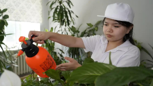 Год рабочих профессий: как в Астане готовят флористов и ландшафтных дизайнеров