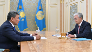 Президент принял акима СКО Гауеза Нурмухамбетова