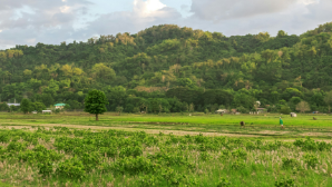 В Казахстане стартовала Национальная сельскохозяйственная перепись