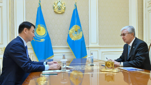 Глава государства принял акима города Алматы Дархана Сатыбалды