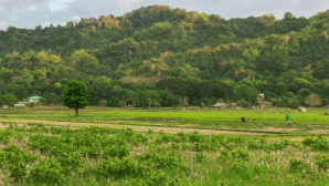 Почти 5 тыс. респондентов приняли участие в первый день сельхозпереписи в Казахстане 