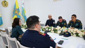 В Казахстане внедряют систему PSY-РИСК для предотвращения суицидов среди призывников