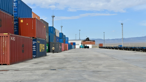 Девять казахстанских предприятий включены в непищевой реестр Китая