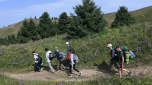 Более 8 тыс. туристов посетили визит-центры Алматы с начала года