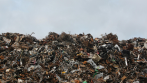 В СКО выявлена фальсификация данных о ликвидации 79 стихийных свалок