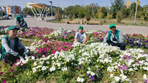 Таза Қазақстан: в области Ұлытау прошли экоакции