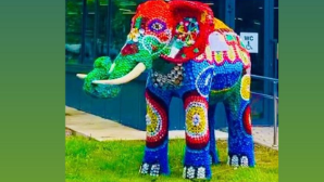 Когда мусор превращается в искусство: в парке Караганды появился чудо-слон