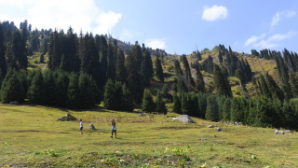 В Алматы обсудили реализацию инвестиционных проектов в сфере туризма