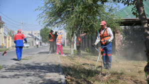 «Таза Қазақстан»: в Шымкенте прошла экологическая акция
