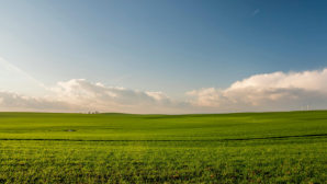 Более 10 тыс. га земли возвращено государству в области Абай