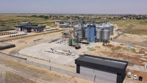 Крахмалопаточный завод запустят в Казахстане