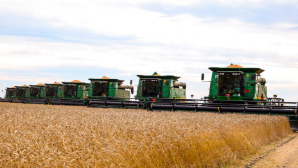 4,3 млн тонн зерновых намолочено в Казахстане