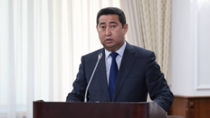 О мерах по реализации поручений Главы государства в сфере АПК доложил Айдарбек Сапаров