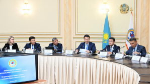 Аким Алматы Дархан Сатыбалды встретился с членами Общественного совета
