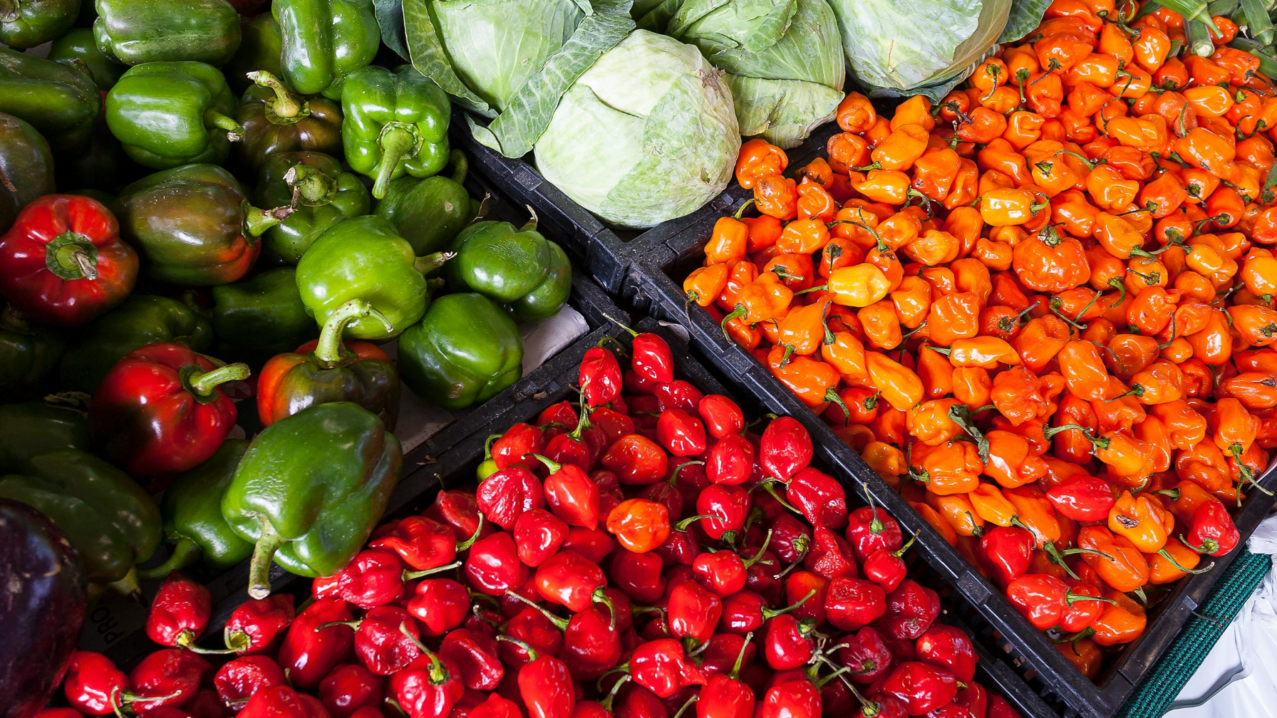 Объем валовой продукции сельского хозяйства увеличился на 3,4% в Казахстане 
