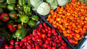 Объем валовой продукции сельского хозяйства увеличился на 3,4% в Казахстане 