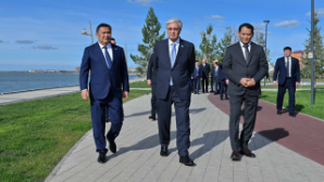 Президенту представили проект «Көк шалғын» в Кокшетау