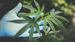 В Астане раскрыта нарколаборатория