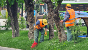 Аким Алматы обсудил план осенних посадок в рамках акции «Таза Қазақстан»