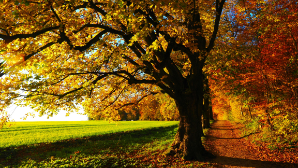 В Казахстане ожидаются дожди, грозы и усиление ветра