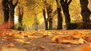 В ряде регионов Казахстана ожидаются заморозки до –3 градусов