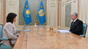 Президент принял министра просвещения Жулдыз Сулейменову