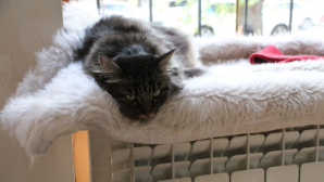 В ВКО начался отопительный сезон