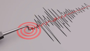 В Казахстане зафиксировано землетрясение