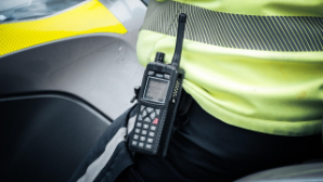 Браконьеров с тушами косуль задержали в Карагандинской области