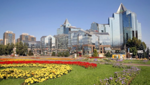 В Алматы начались осенние работы по благоустройству и подготовке цветников к зиме 