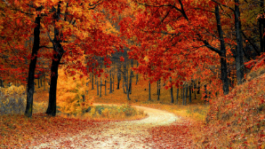 В Казахстане ожидаются заморозки, туман и пыльные бури