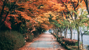 Какая погода ожидается сегодня в Казахстане 