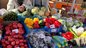 До 700 тонн продукции нового урожая реализуют на ярмарках выходного дня в Алматы