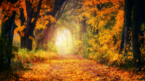 Какая погода ожидается сегодня в Казахстане 