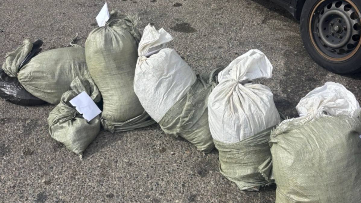Полицейские пресекли попытку перевозки 66 кг марихуаны в Жамбылской области