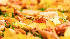 Какая погода ожидается сегодня в Казахстане 