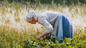 Хранительницы земли и традиций: сегодня отмечают Международный день сельских женщин