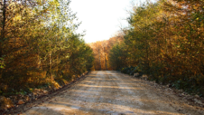 Какая погода ожидается сегодня в Казахстане 