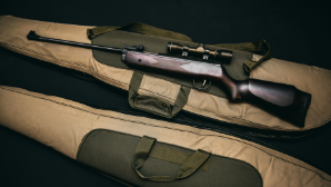 Полицейские изъяли незарегистрированное оружие у жителя Алматы