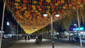 В Алматы ко Дню Республики завершено благоустройство двух пешеходных зон Жетысуского района