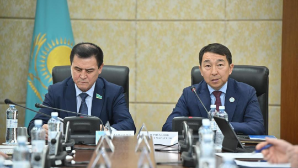 В Сенате обсудили роль Декларации о государственном суверенитете в укреплении правового государства