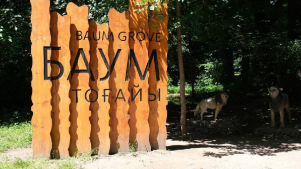 Благоустройство рощи Баума не предусматривает вырубку деревьев