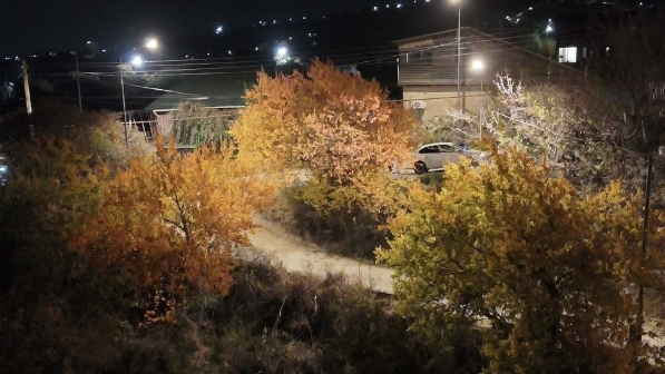 В Наурызбайском районе активно развивается система наружного освещения