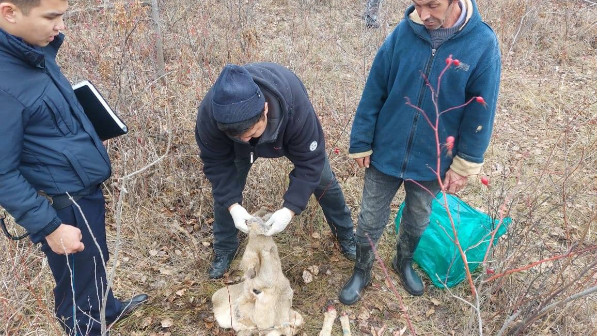 В ЗКО выявили незаконную охоту