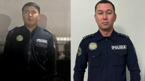 Сотрудники полиции предотвратили пожар на трассе в области Жетысу 