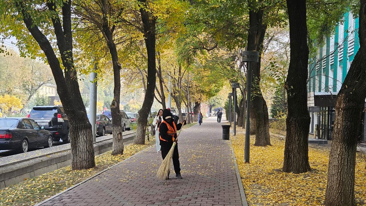 Дархан Сатыбалды поручил усилить работу по «Таза Казахстан» и улучшить экологическую культуру в городе