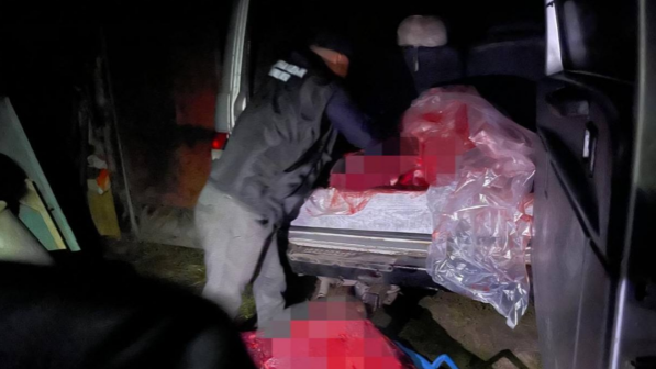 Полицейские в Костанайской области выявили браконьеров