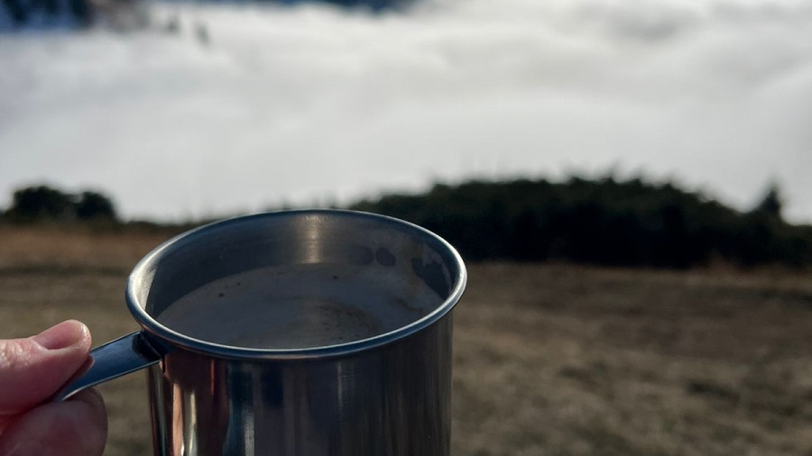 Почему алматинцы все чаще выбирают отдых на природе