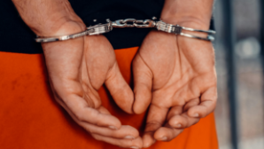 Из России экстрадирован бывший сотрудник ЦОНа области Жетысу 